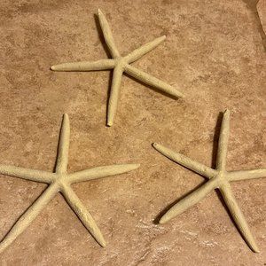 Set of 3 Starfish Art